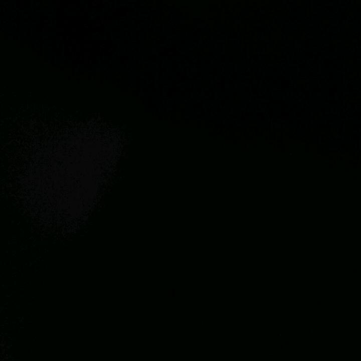 爱笑的狐狸