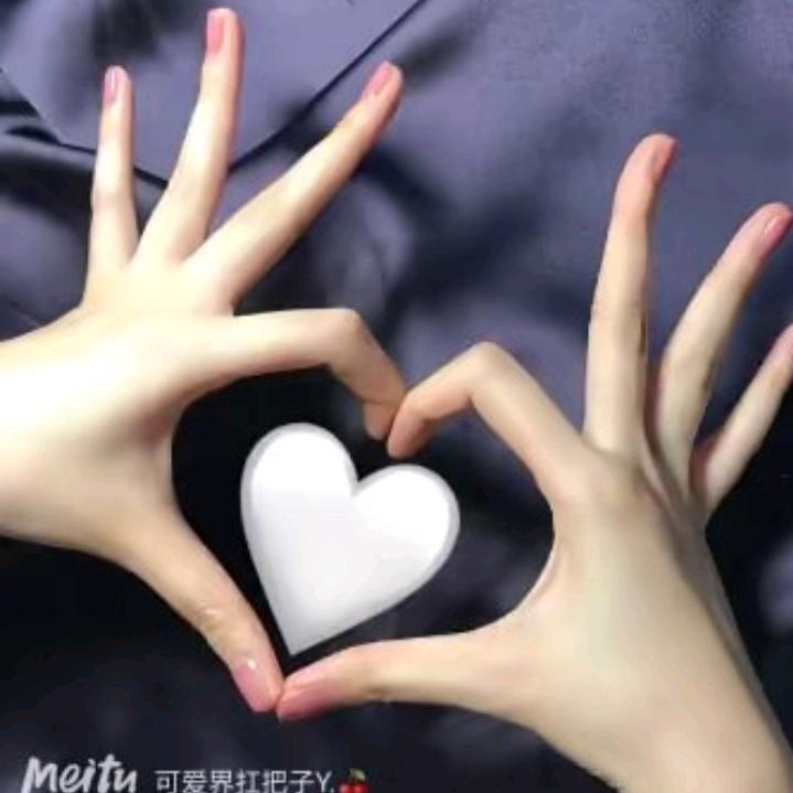 毛，龙，龙