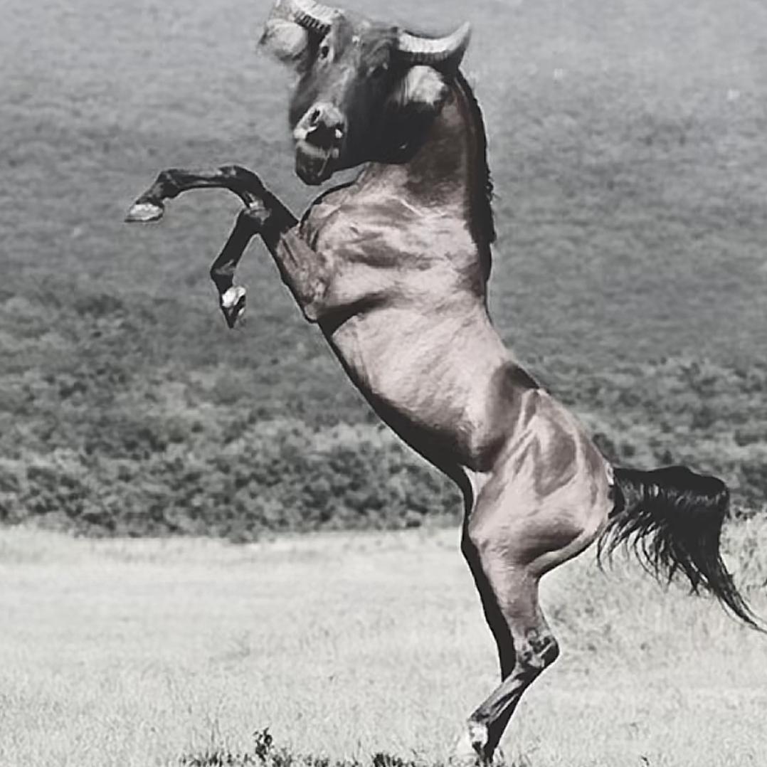 须尽欢　　　　　　　  ༽