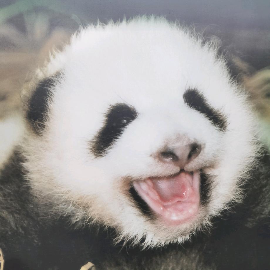 信发家居广场官方号