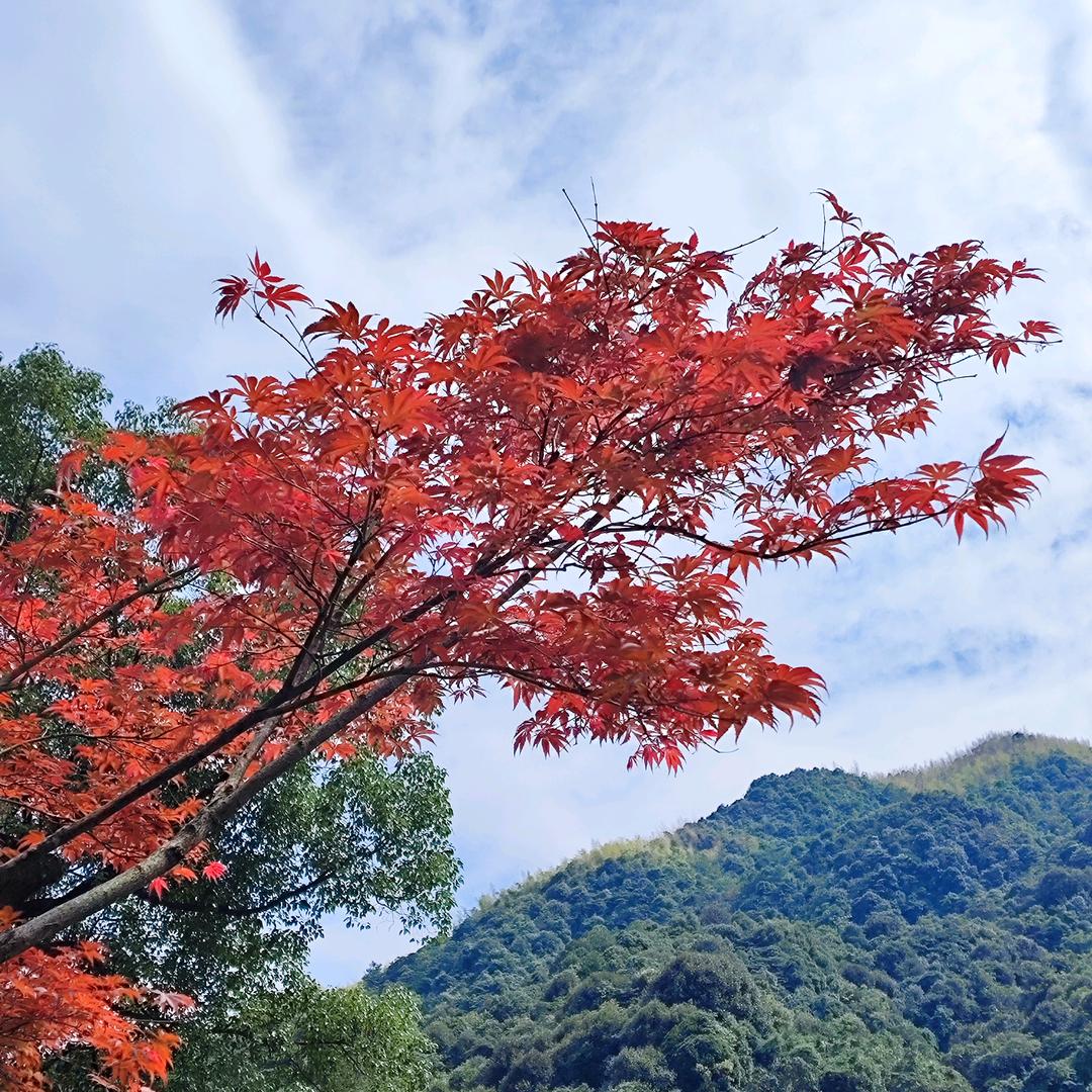 对方是你朋友