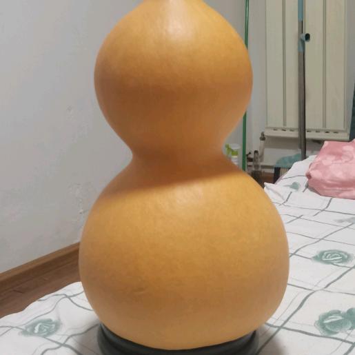 黄土高原