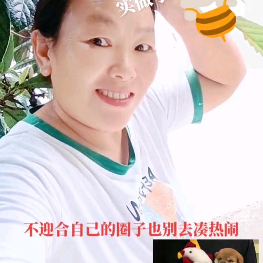 桃姐