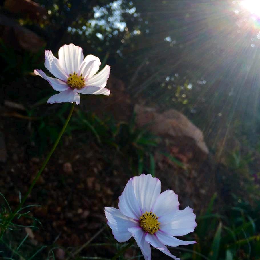 你来了，姐夫😅✌