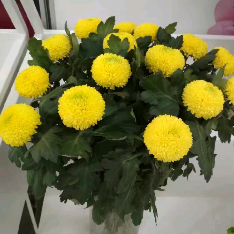 幸福