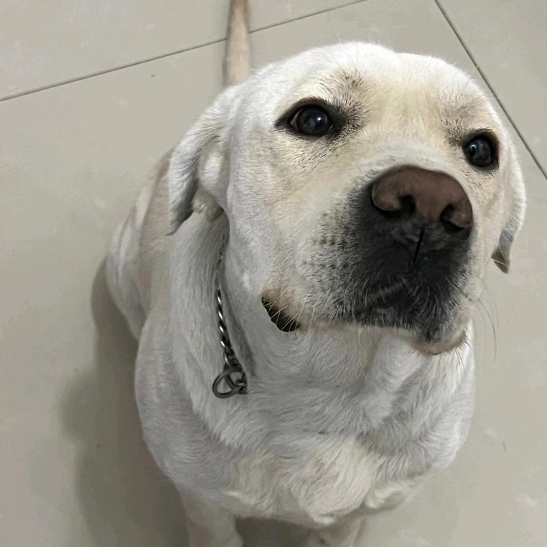 也许走着走着就🈶答案