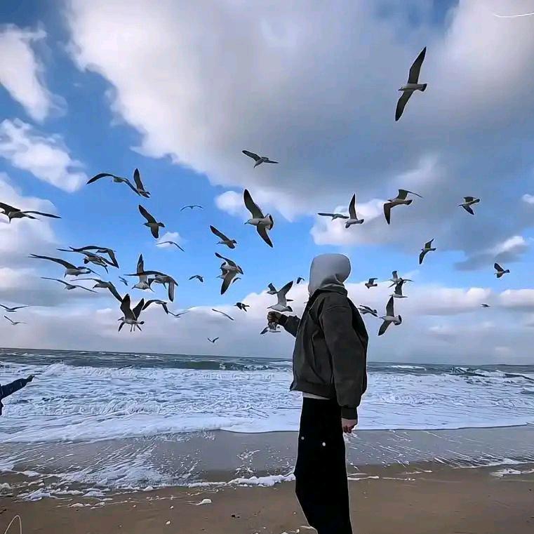 风雪飘摇_222755378