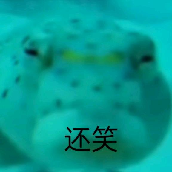 小藤花色狸（