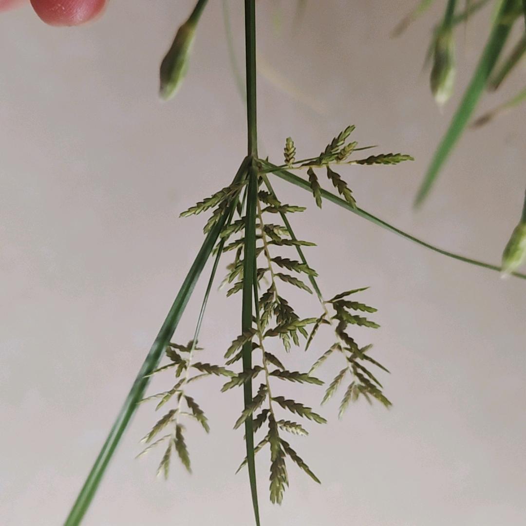 我想静静🤑🤑🤑