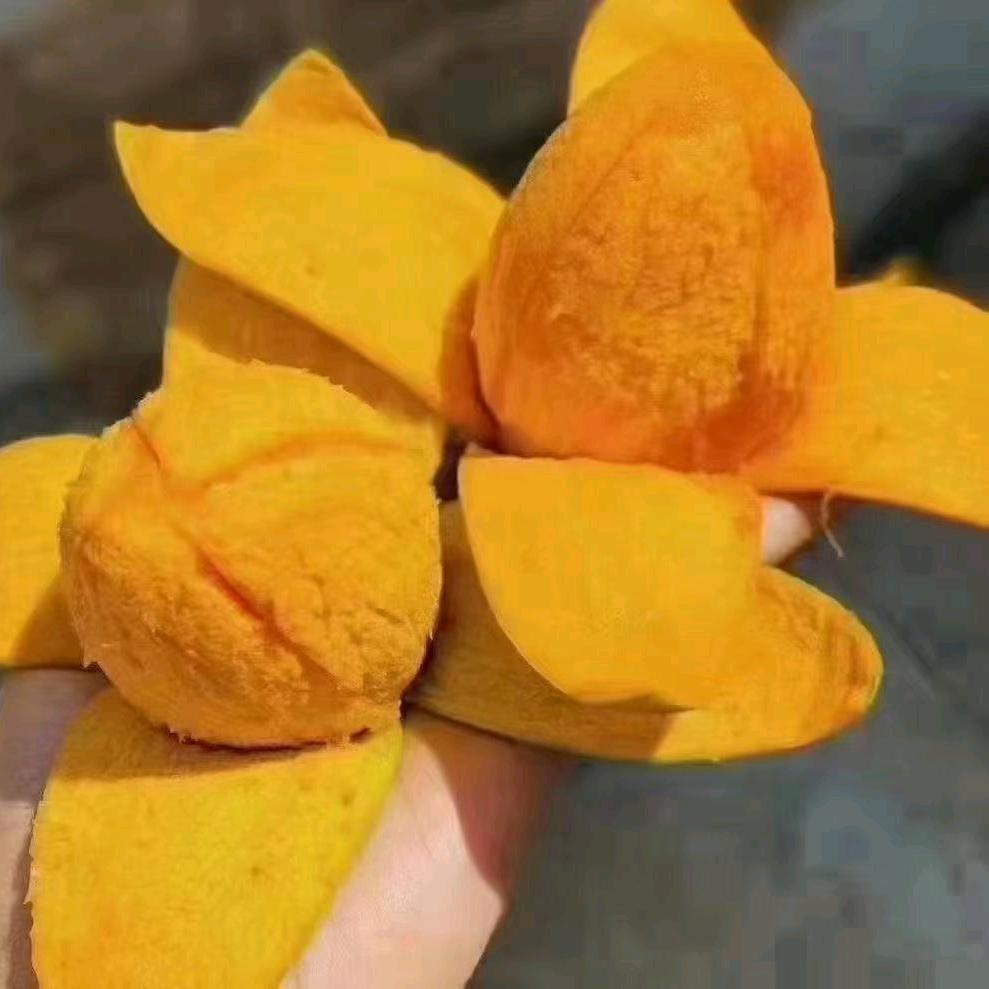 撞个芒怀果蔬