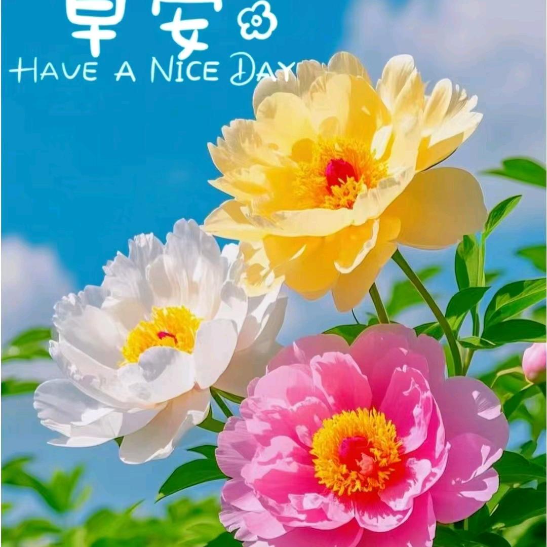 @欣欣妈