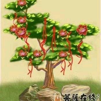 随缘吧
