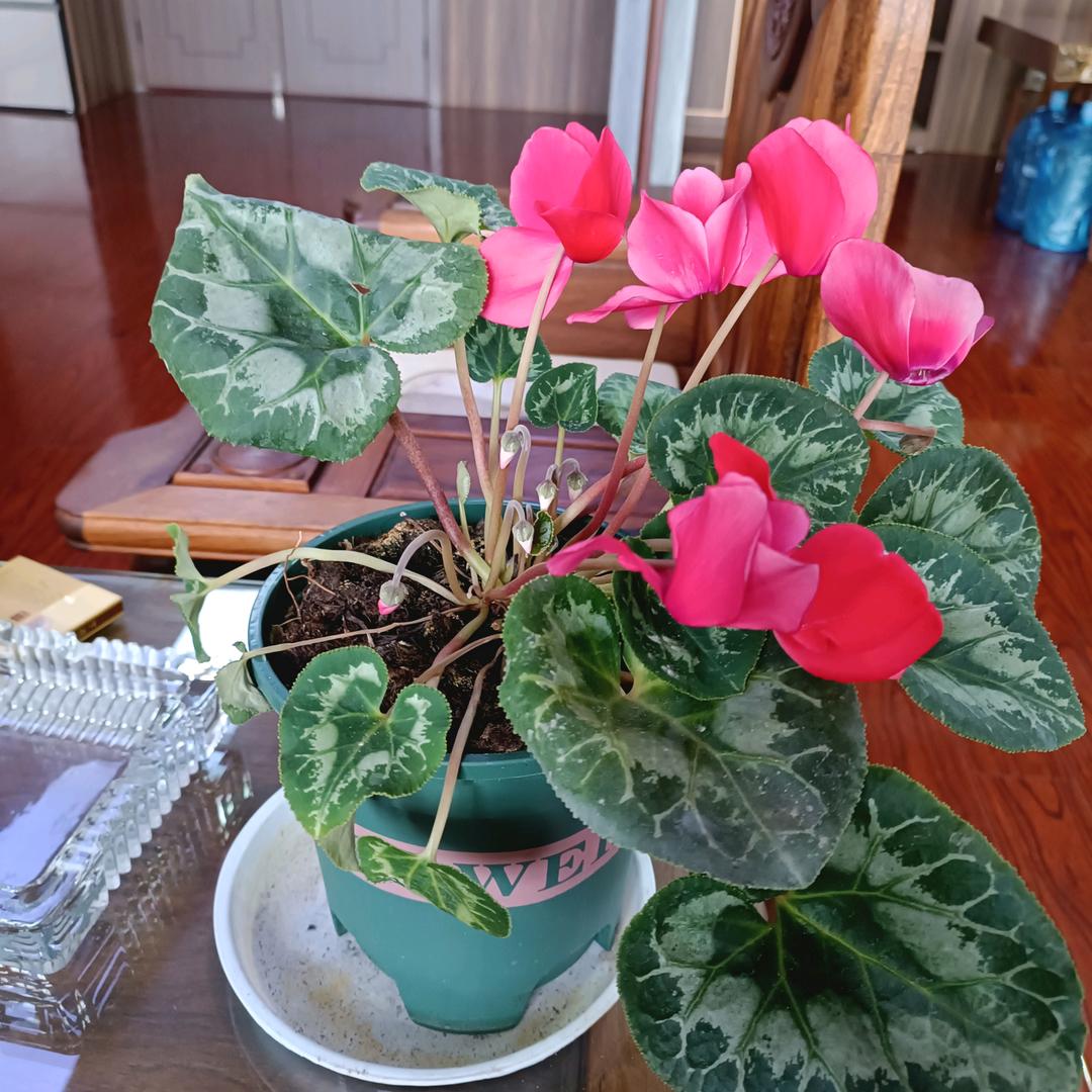 高和平