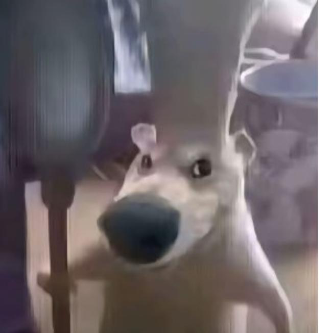 修狗大厨在线炒饭