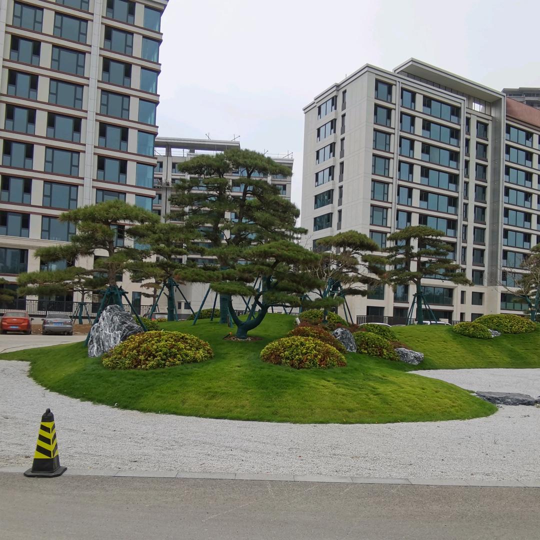 用户大哥