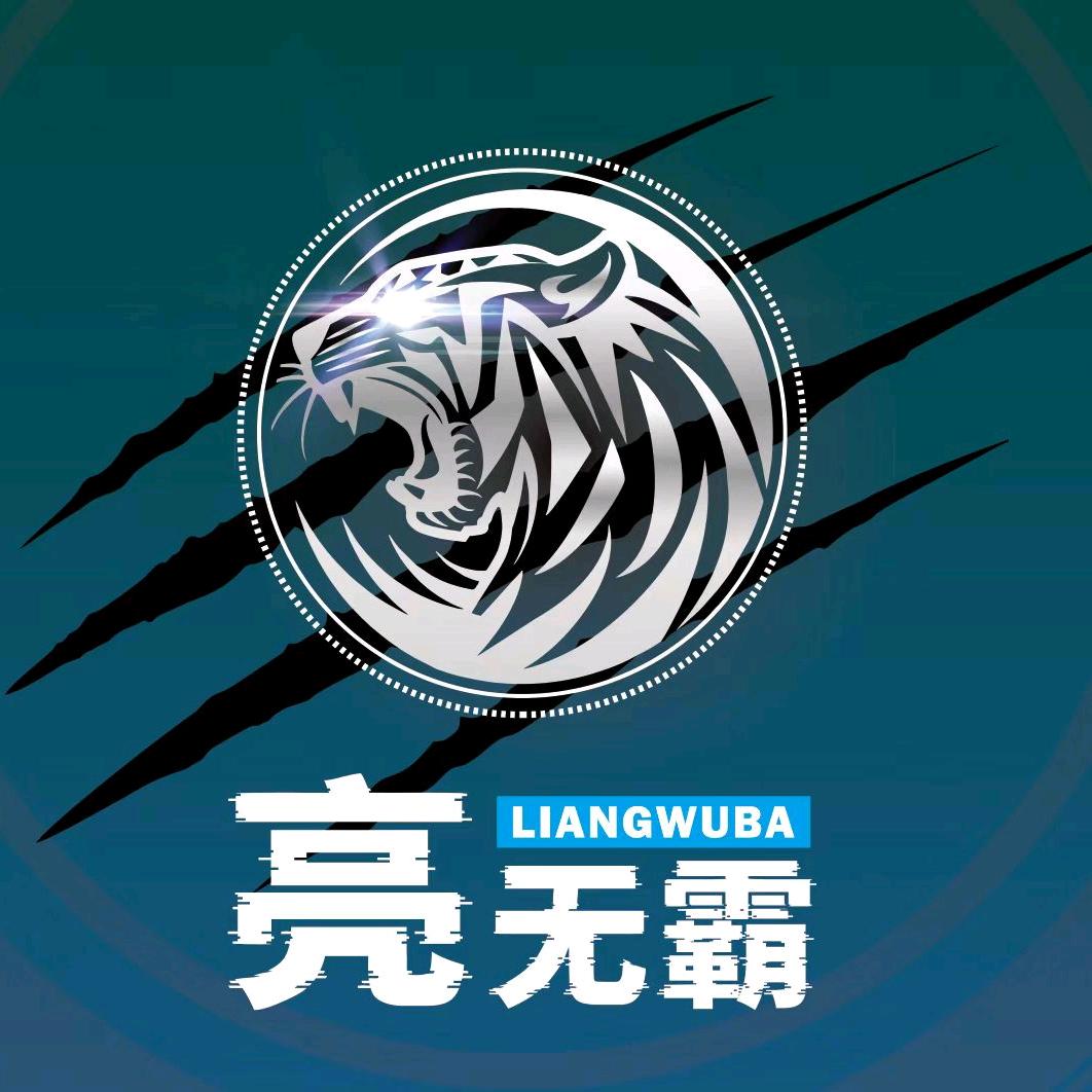 亮无霸车灯哈尔滨道里店