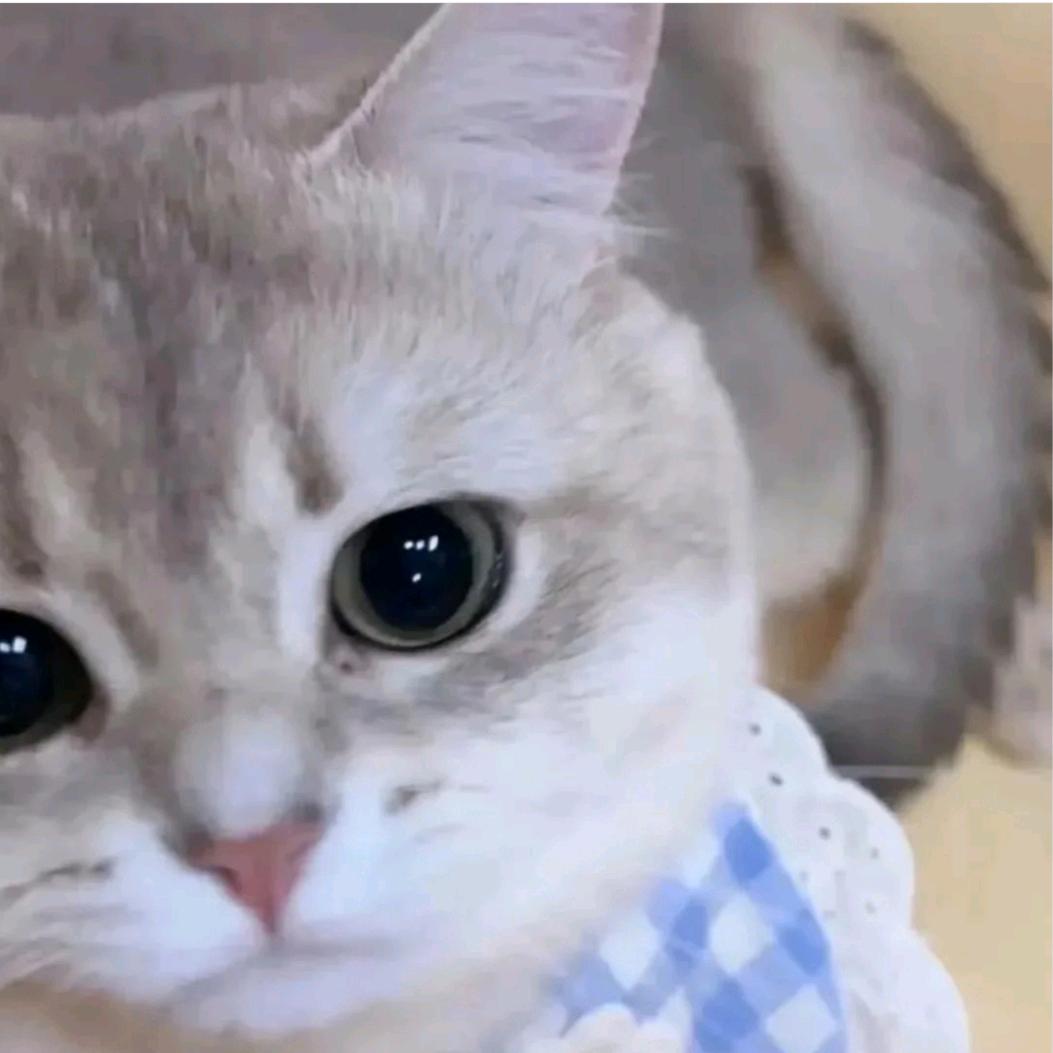 Wy