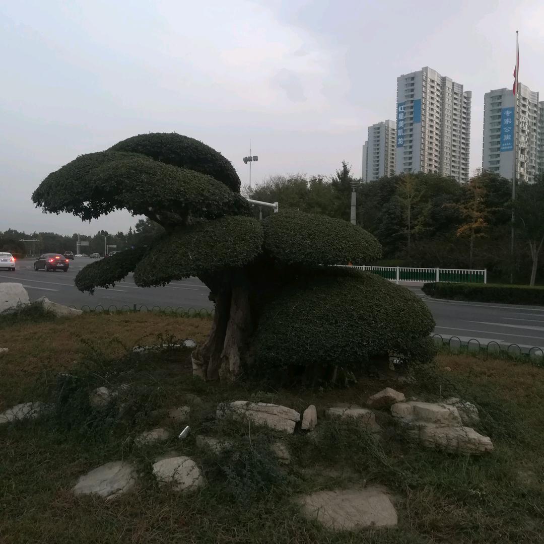 快乐每一天🇨🇳