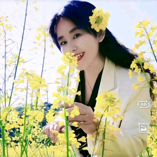 归心似箭
