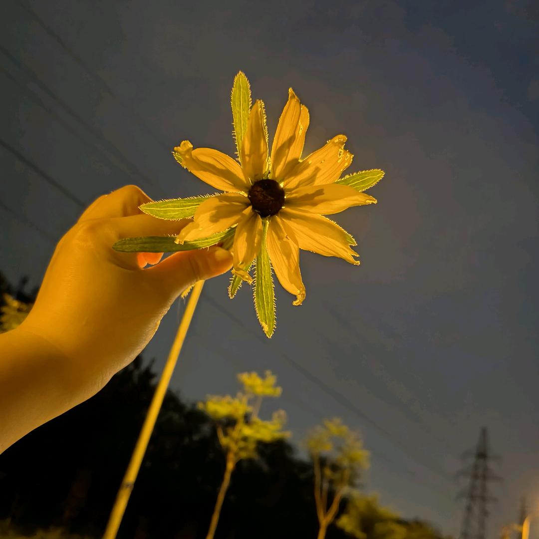 @一生D想念