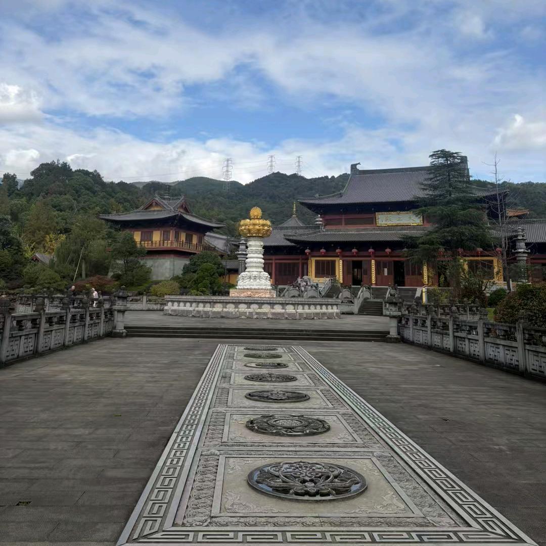 大风刮倒梧桐树