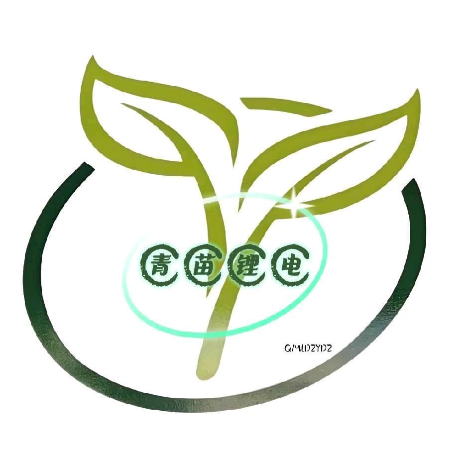 武汉盘龙青苗锂电