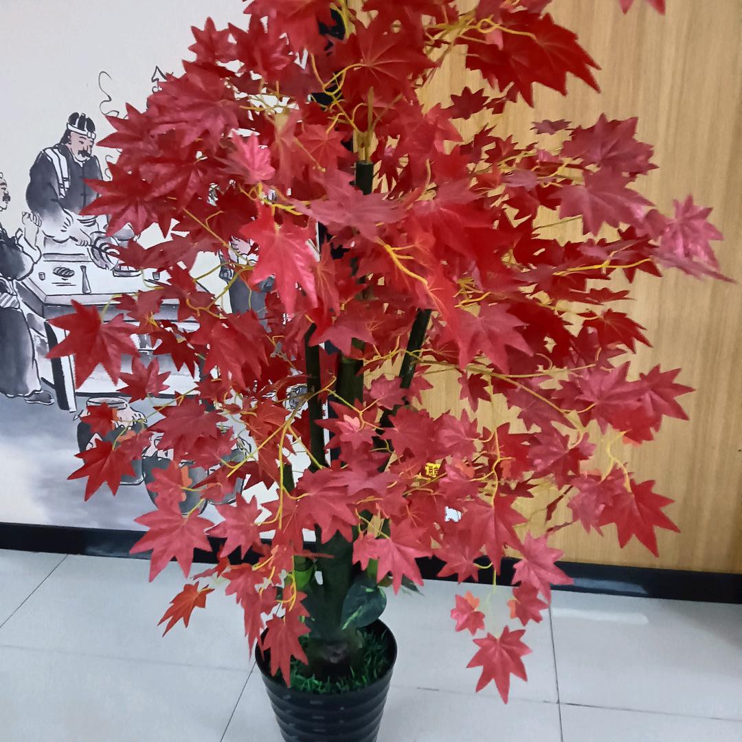 90后的人命苦🌸🌸🌸🌸