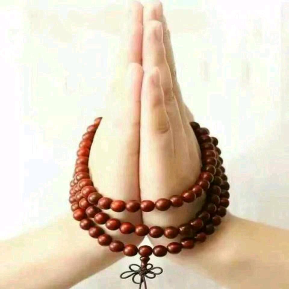 @年轮🙏