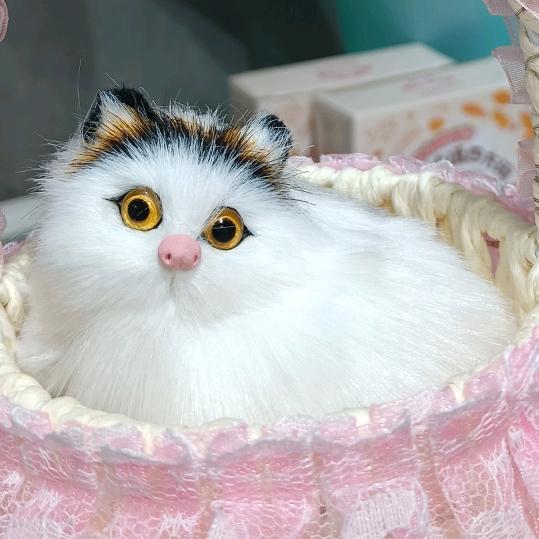 邓邓
