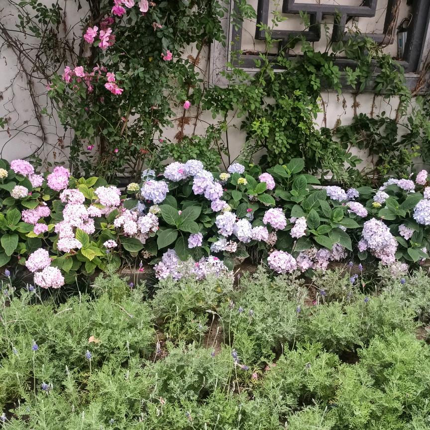 成长加油💪站