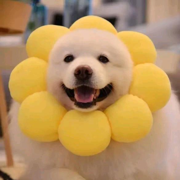 翠花商行