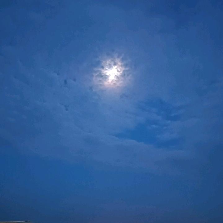 禾666