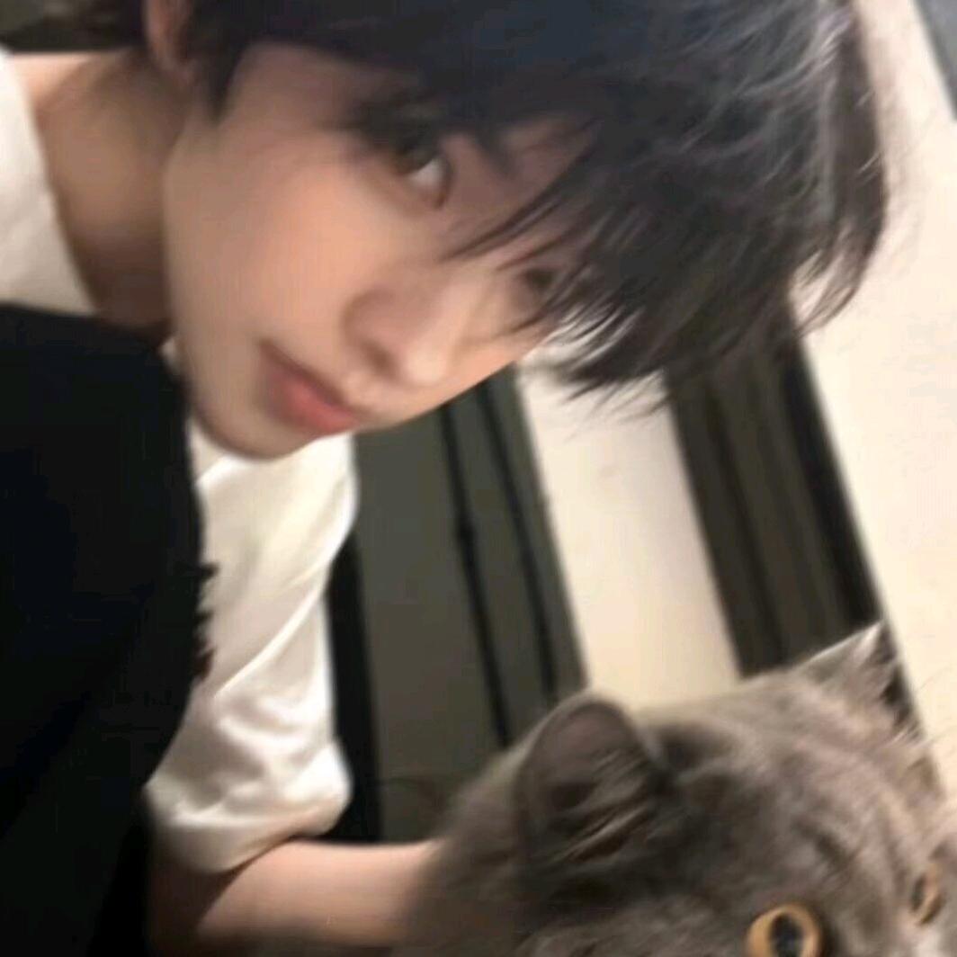 柿子墨尔本的猫