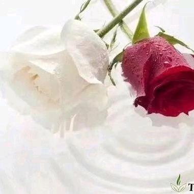 苏宁易购(赫章解放东路店)