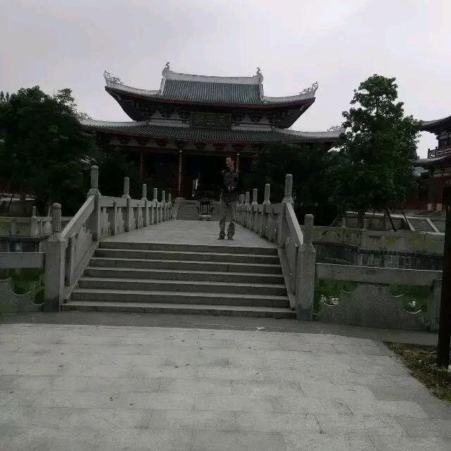兴亮盆景