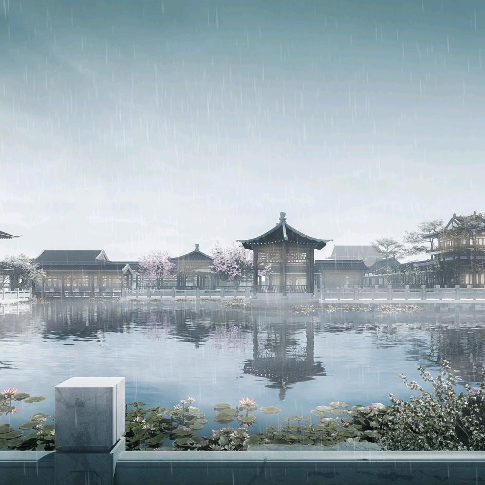 花叶络石