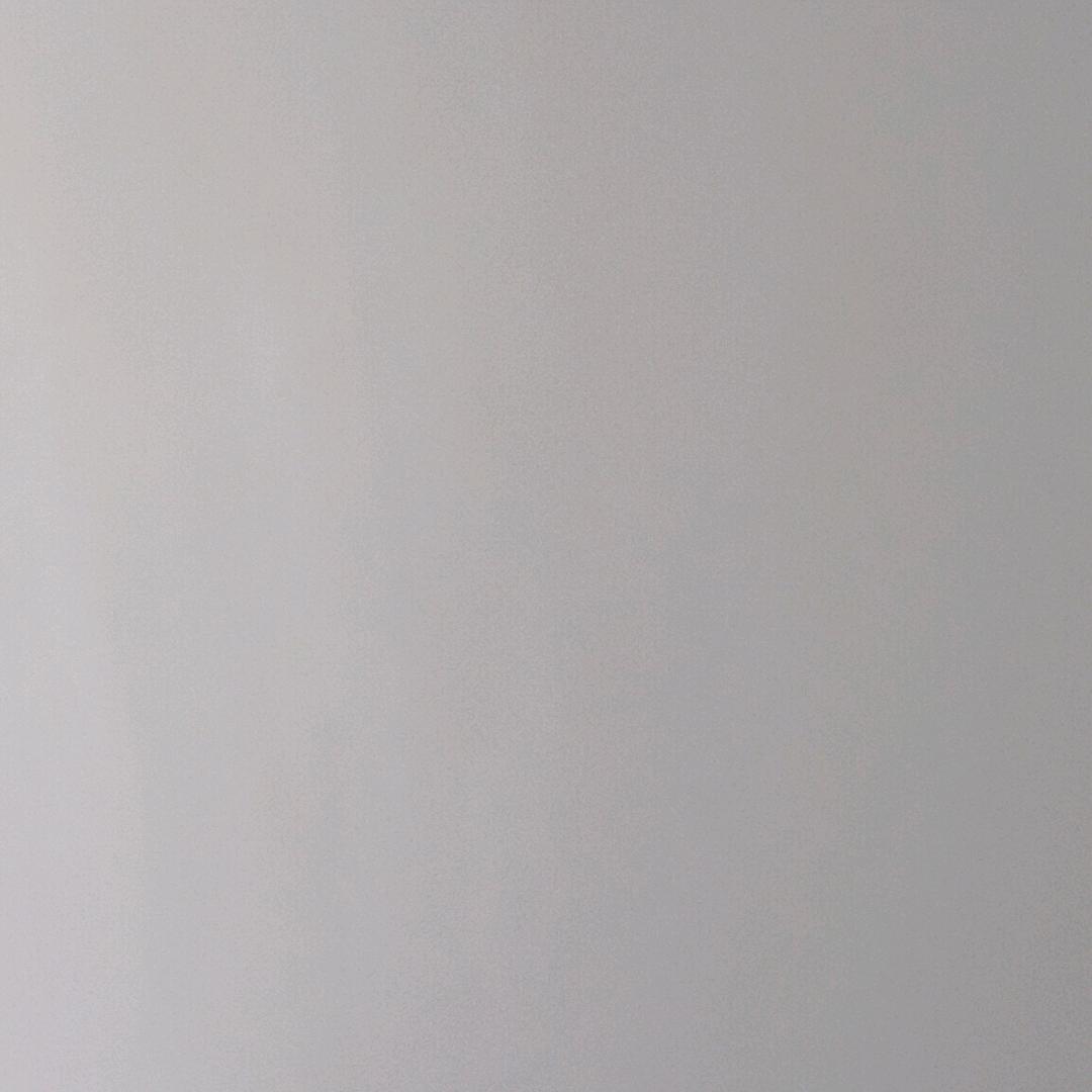 ￴ 不说李