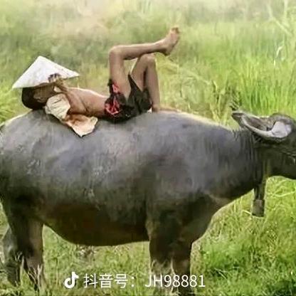 🚬孤酒🍻配人生