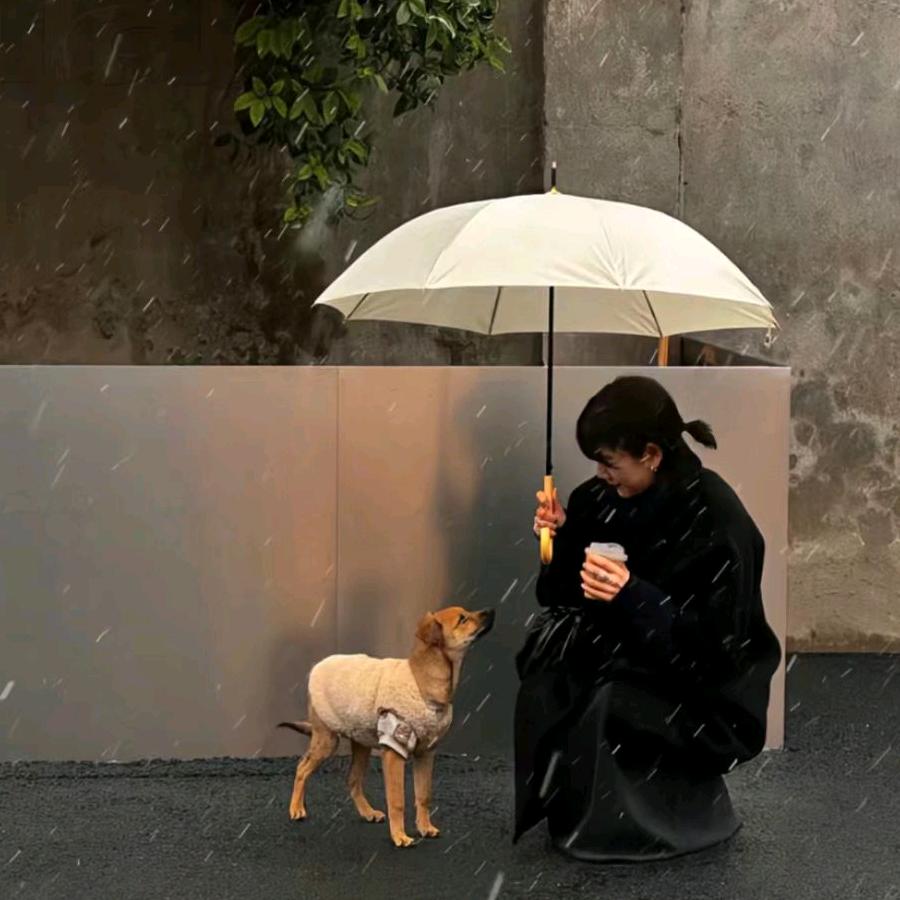 小羊日记
