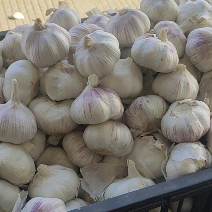 其实我不傻。爱财爱己