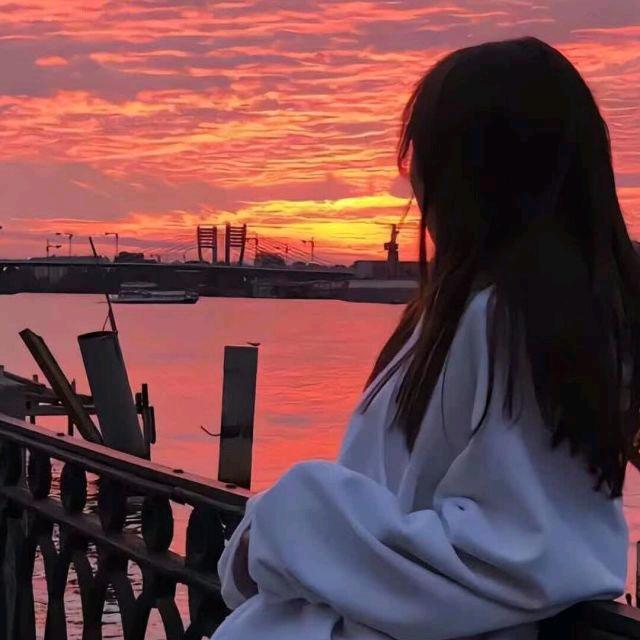 鸿鹤暗挽枝头像
