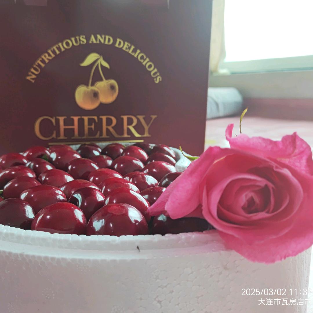 大连美早大樱桃