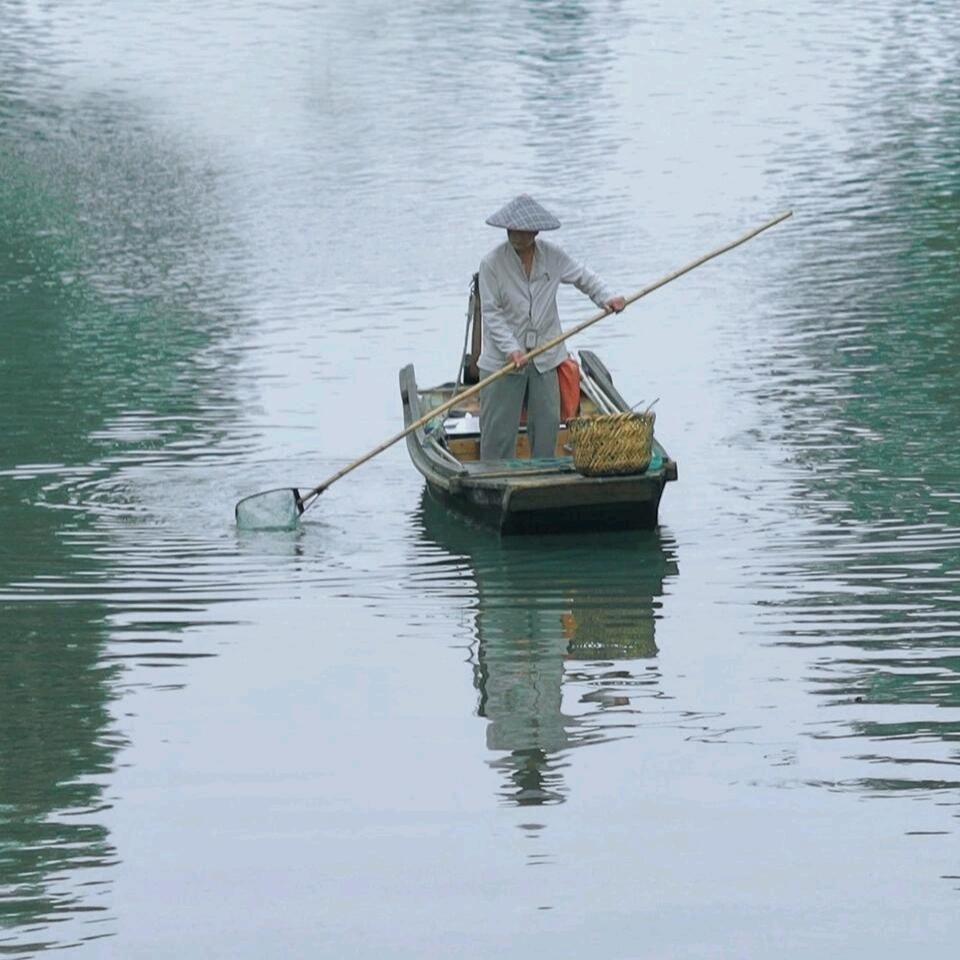 一梦到江南