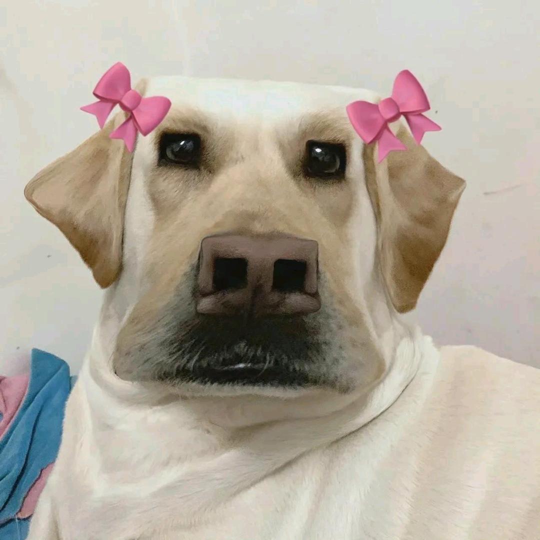 歪歪ovo