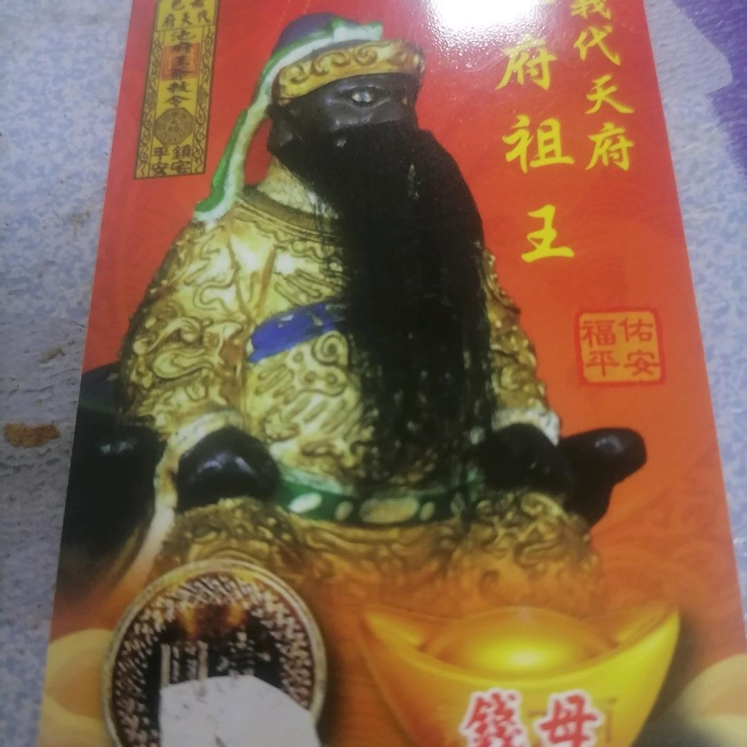 现实的社会