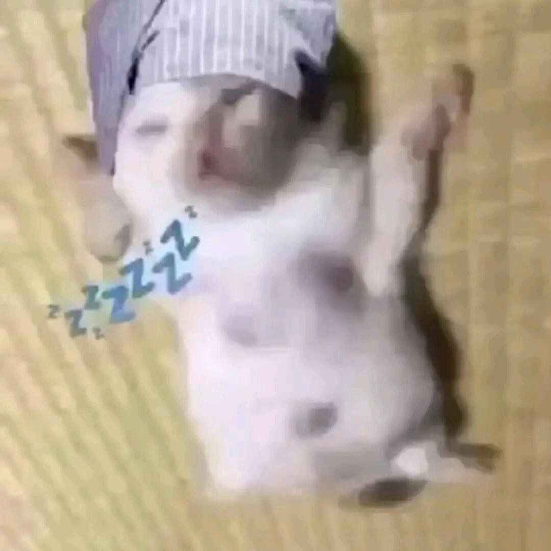 阿呆呆₇