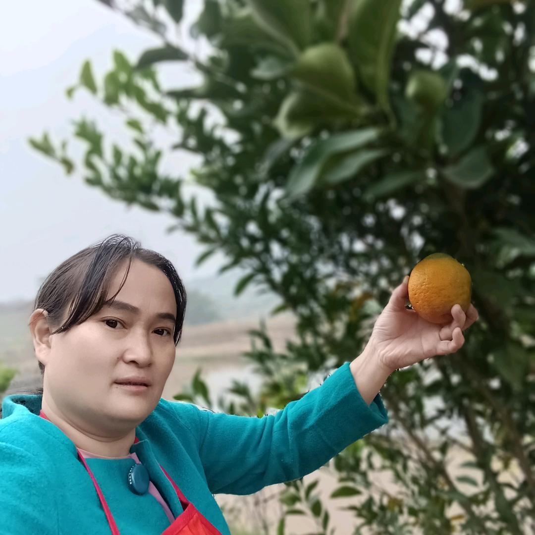 农村罗大姐