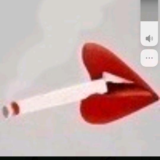 紫色幽兰