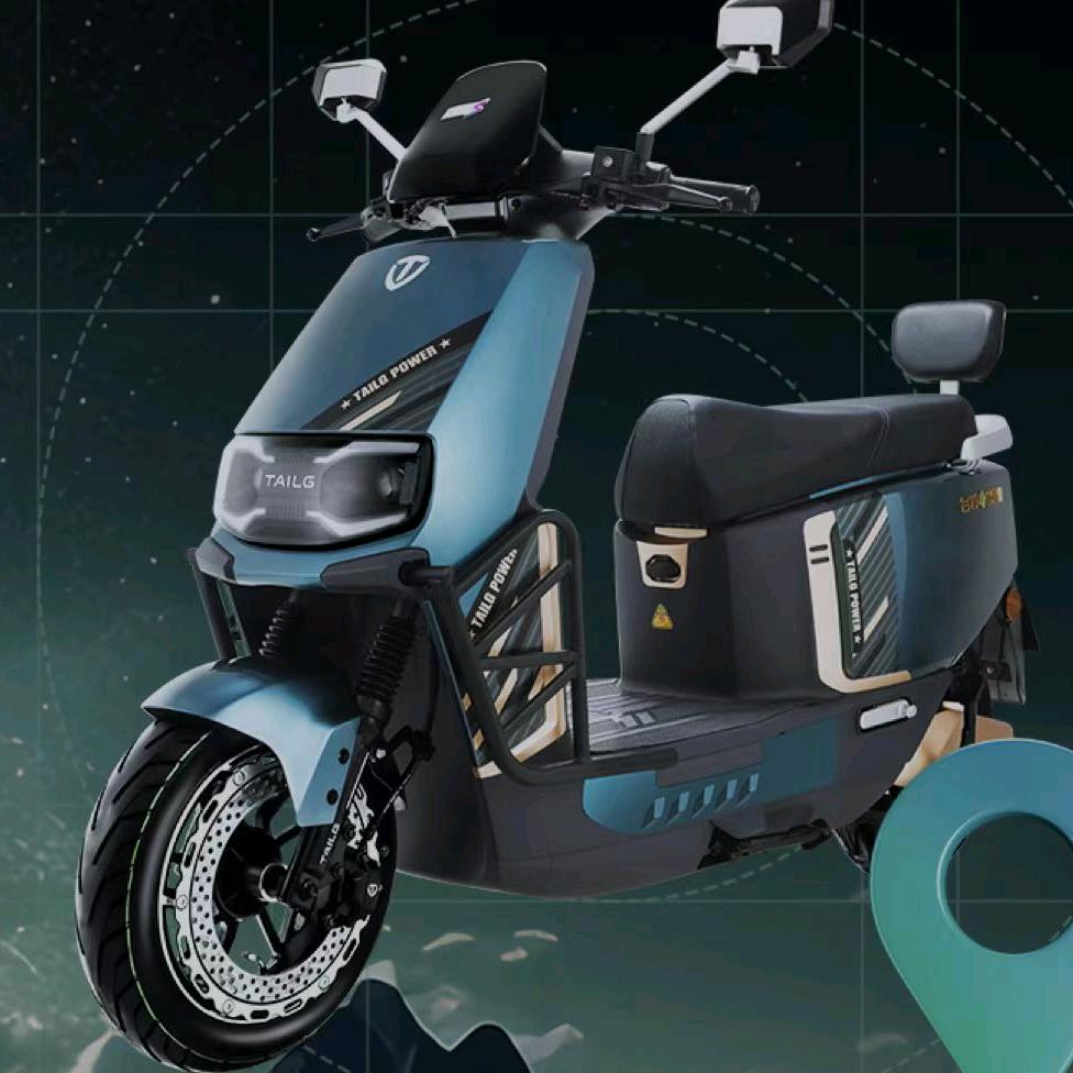 台铃长续航电动车小小尹