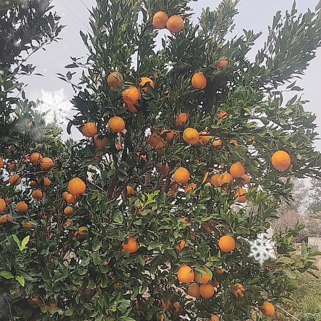 东西南北方来财